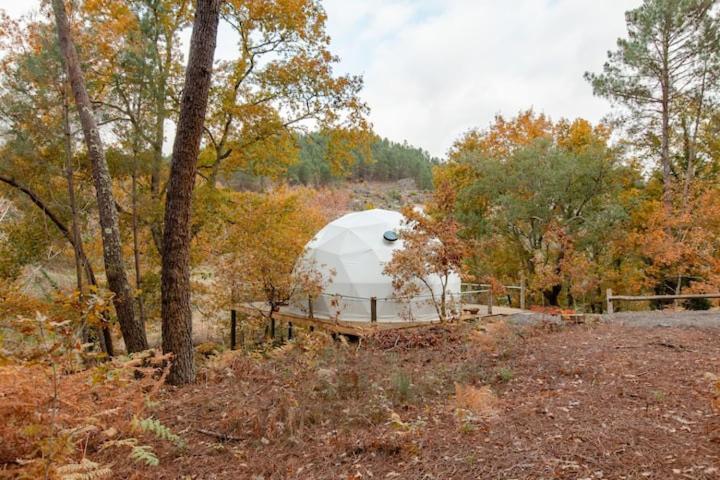 Refugio Poldras Lodge *